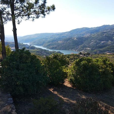 Paraiso Hills - Encostas Do Paraiso: Tranquilidade No Douro Resende Zewnętrze zdjęcie