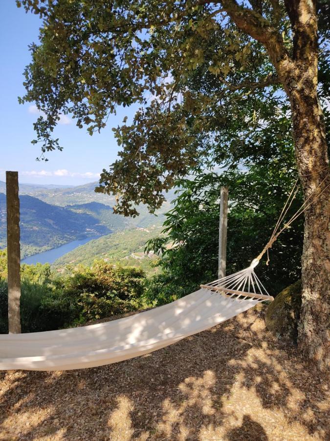 Paraiso Hills - Encostas Do Paraiso: Tranquilidade No Douro Resende Zewnętrze zdjęcie