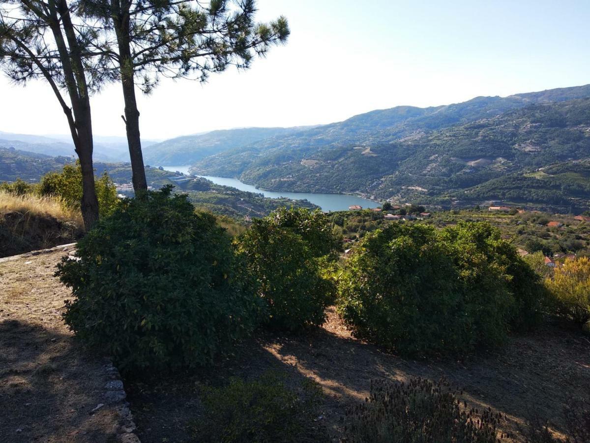 Paraiso Hills - Encostas Do Paraiso: Tranquilidade No Douro Resende Zewnętrze zdjęcie